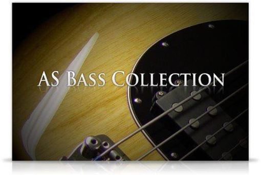 Picture of Acousticsamples AS Bass Collection Bundle Instrument  Download