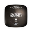 Picture of Vienna Symphonic Library Bassoon Ensemble Upgrade to Full Download