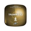 Picture of Vienna Symphonic Library Trumpet (C) Full Download