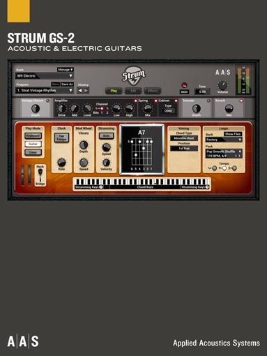 Picture of Applied Acoustics Systems Strum GS-2 (includes acoustic and electric) download