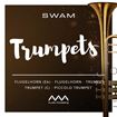 Picture of Audio Modeling SWAM Trumpets Download