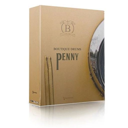 Picture of MusicalSampling Boutique Drums Penny Kontakt Library Download