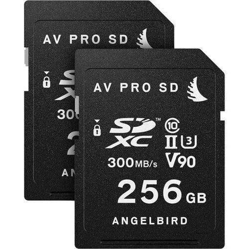 Picture of Angelbird Match Pack for EVA1 256 GB | 2 PACK